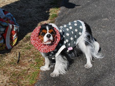 公園散歩からのカメラ講習会_f0214121_1164796.jpg