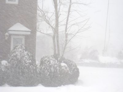 青森県津軽地方は大雪!!_c0165824_16444316.jpg