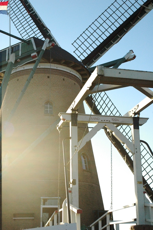 d0233324_0421719.jpg