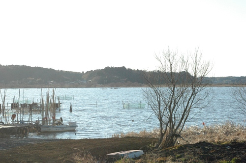 d0233324_0424790.jpg