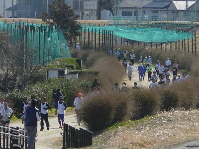 おにゃじ “第444回 月例川崎マラソン”を走る 前編_b0166128_9485246.jpg