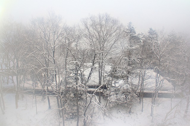 c0229539_1031230.jpg