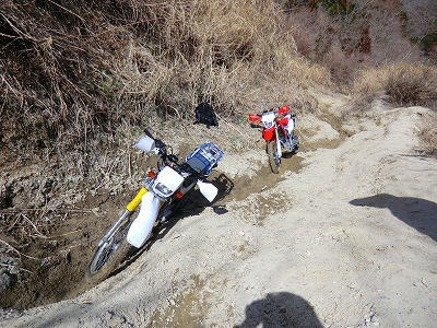 CRF250L　初林道！_e0114857_1035534.jpg