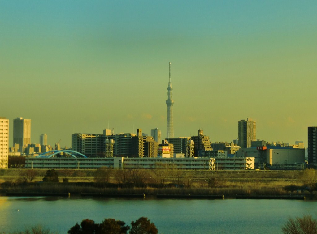 夕陽２月２０日（水）。。。東京都_f0184669_18522185.jpg