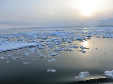 流氷（網走編）_c0098871_1732417.jpg