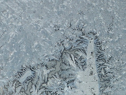 d0084473_213176.jpg