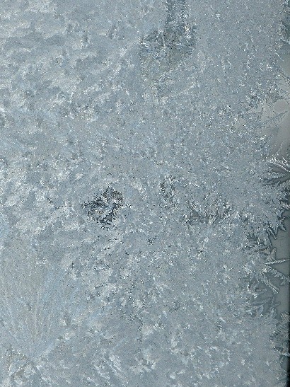 d0084473_213239.jpg