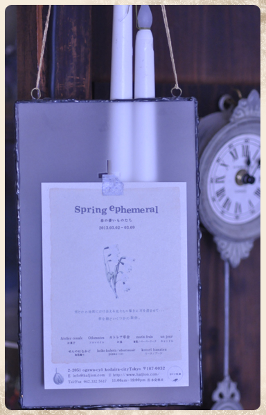 spring ephemeral -春の儚いものたち-_c0187782_195544.jpg