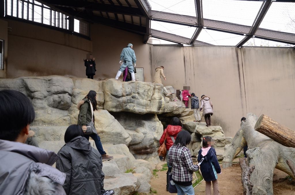 ２０１３年２月　王子動物園　その３　サポーターズディ　「園内ガイドツアー」_a0052986_1113538.jpg