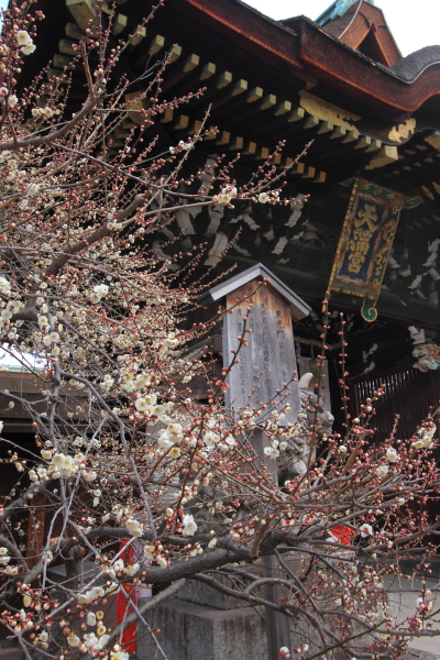 北野天満宮_e0051888_040171.jpg