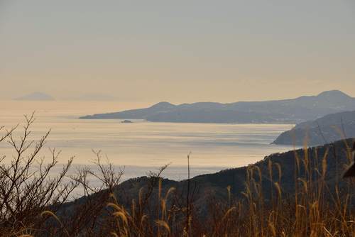 e0241691_14057.jpg