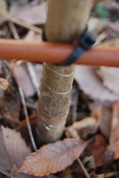 c0124100_10402560.jpg