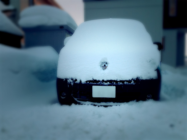 雑-春遠し「雪かきを考える」。_a0050802_955167.jpg