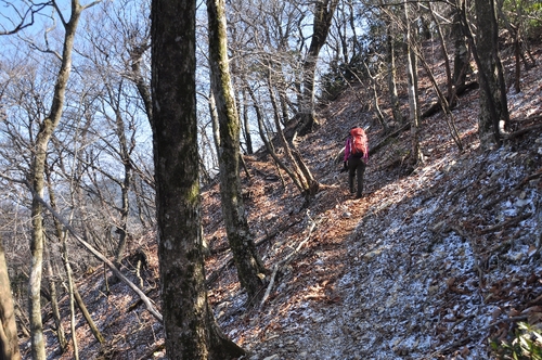 福寿草を求めて、仰烏帽子山！_e0314407_20292173.jpg