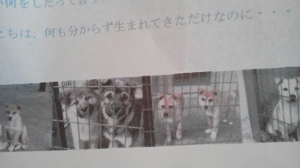 お願いします。_b0182709_16213524.jpg