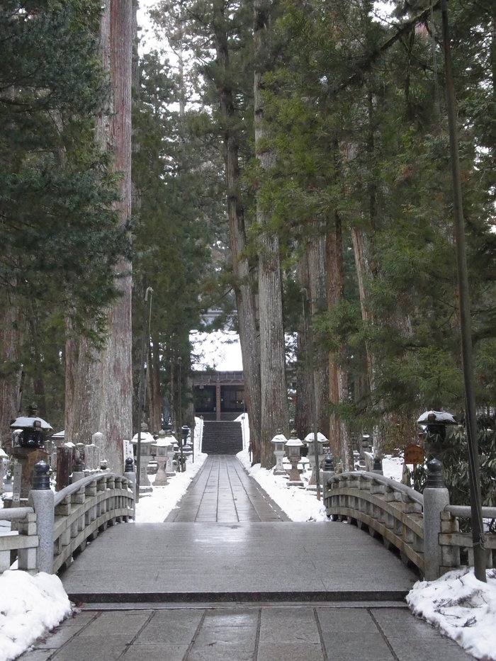 冬の高野山奥之院参道を歩く_d0116009_13103165.jpg
