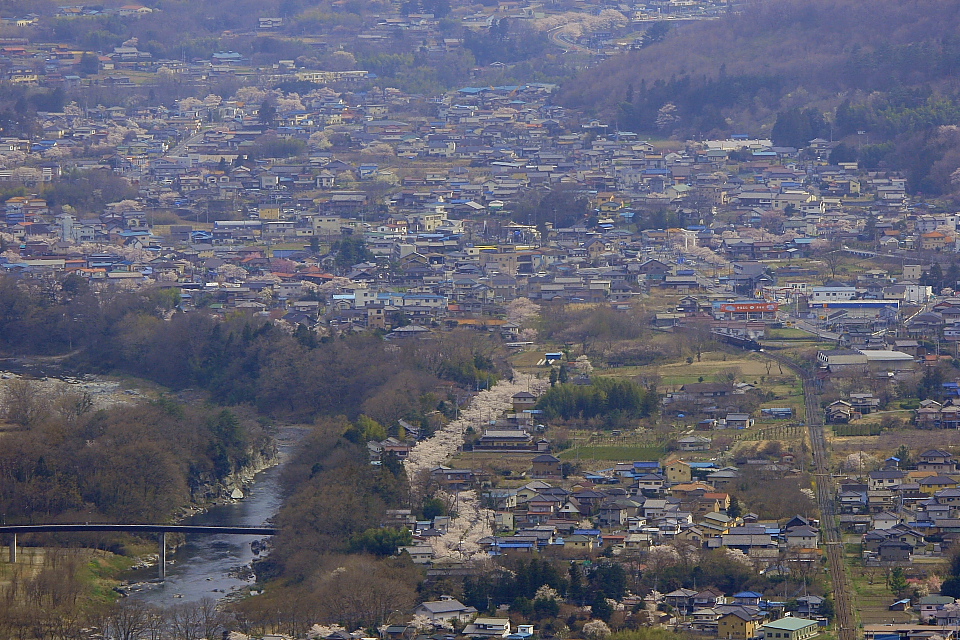 開花予報開始 - 2012年・秩父 - _b0190710_23274317.jpg