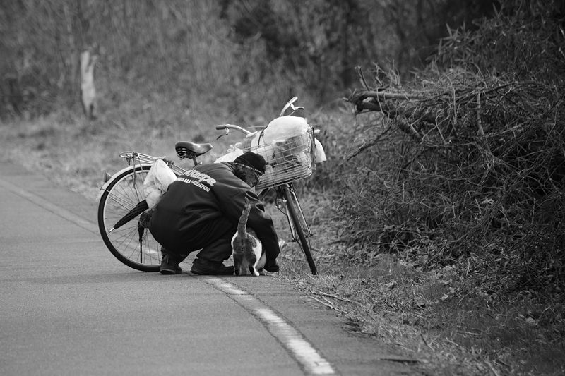 街角ニャンコ・愛でる人達_f0032011_1858456.jpg