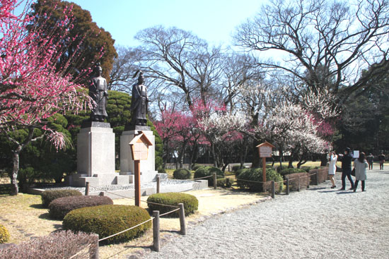 熊本で梅を愛でる1 水前寺公園_e0048413_19105669.jpg
