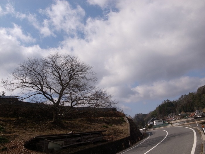 歩きながら撮った風景_c0116915_2349455.jpg