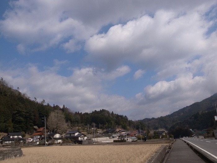 歩きながら撮った風景_c0116915_23544394.jpg
