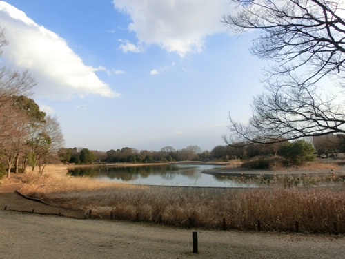 小春日和の公園　その１_c0200916_051247.jpg