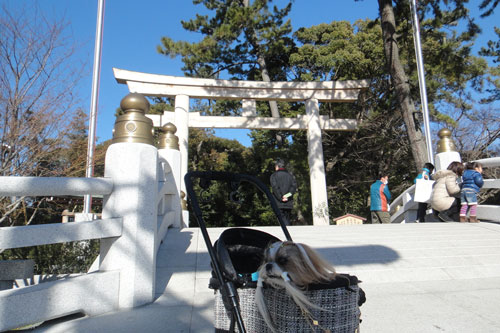 寒川神社をお参り_c0028424_1234654.jpg