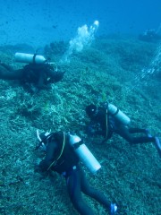 13.2.27 オニ駆除・レイシ駆除_b0100730_1895179.jpg