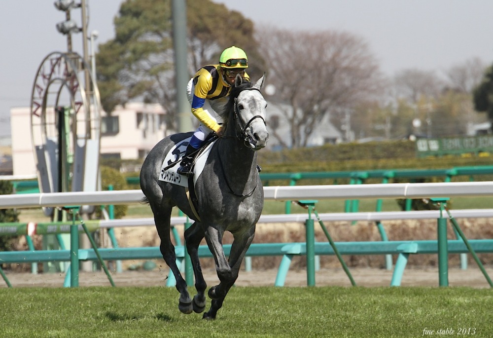 2.27  マンインザムーンの新馬戦から ーその2ー_c0240132_5573847.jpg