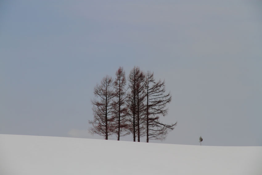 2月27日“ある風景・・・”_d0069235_23563969.jpg