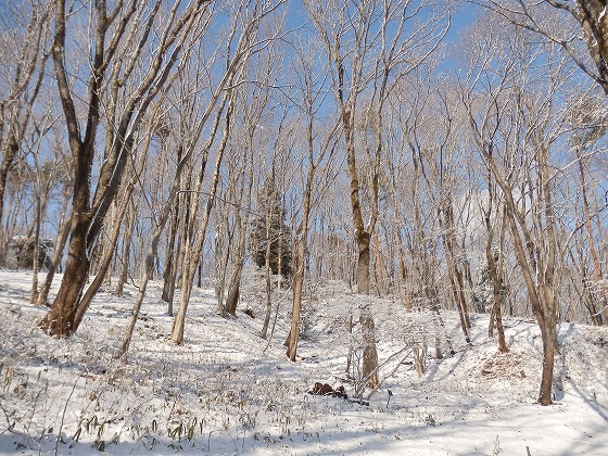 ２０１３．２．２３　深山（グリーンピア岩沼ー炭釜コース）_f0003138_6421482.jpg