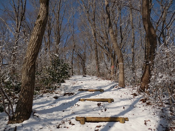 ２０１３．２．２３　深山（グリーンピア岩沼ー炭釜コース）_f0003138_6454284.jpg