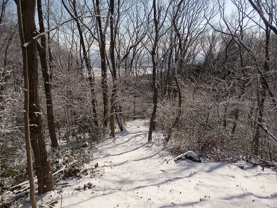 ２０１３．２．２３　深山（グリーンピア岩沼ー炭釜コース）_f0003138_6455878.jpg