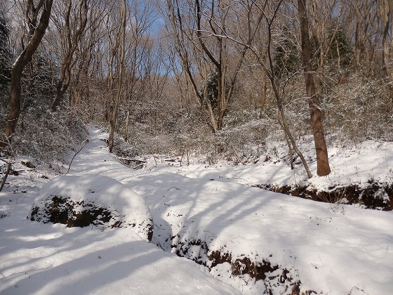 f0003138_653439.jpg