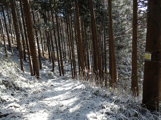f0003138_6575014.jpg