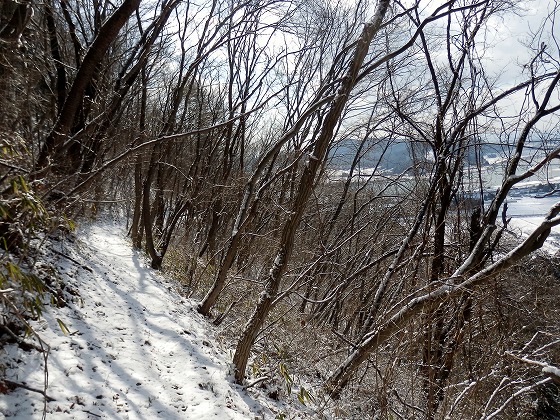f0003138_704090.jpg