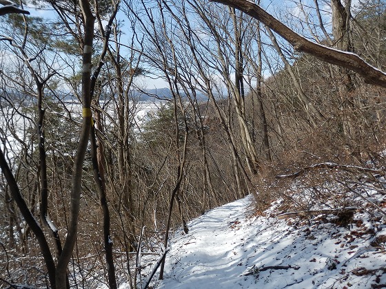 f0003138_711871.jpg