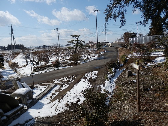 f0003138_73171.jpg