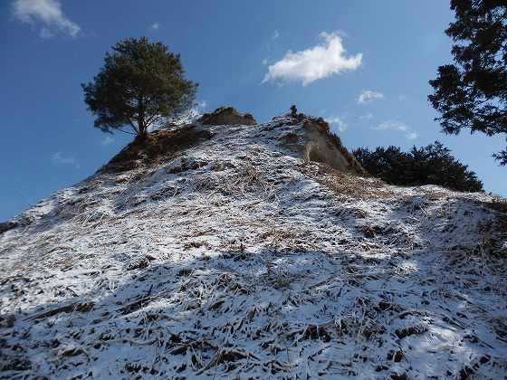 f0003138_752915.jpg