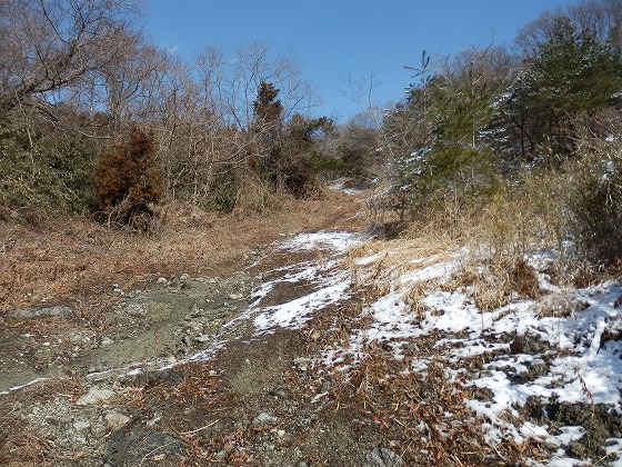 f0003138_763230.jpg