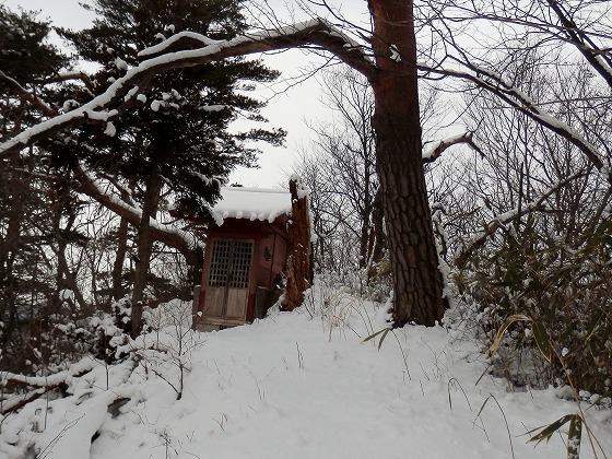 ２０１３．２．２５　愛宕山・大旗山・辺田山（中青葉丘陵）_f0003138_81858100.jpg