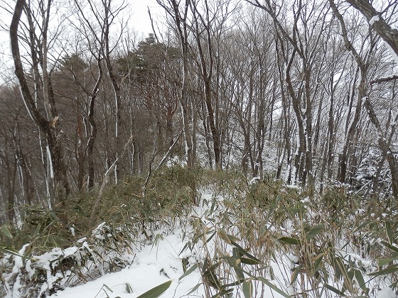 ２０１３．２．２５　愛宕山・大旗山・辺田山（中青葉丘陵）_f0003138_8253470.jpg