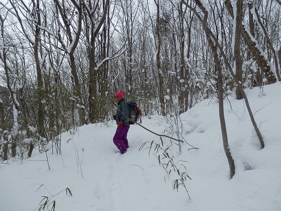 ２０１３．２．２５　愛宕山・大旗山・辺田山（中青葉丘陵）_f0003138_8294132.jpg