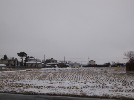 粉雪のはじまり_a0014840_22521649.jpg