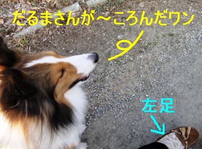 ママより前を歩くなかれゲーム☆_e0195743_10152435.jpg