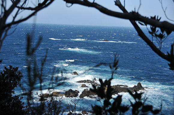 f0094843_2081827.jpg