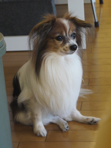 e0100046_20504082.jpg