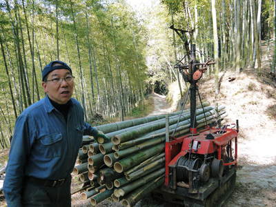 幻の白い｢長生たけのこ｣　竹林の徹底管理と伐採竹の再利用_a0254656_18371381.jpg