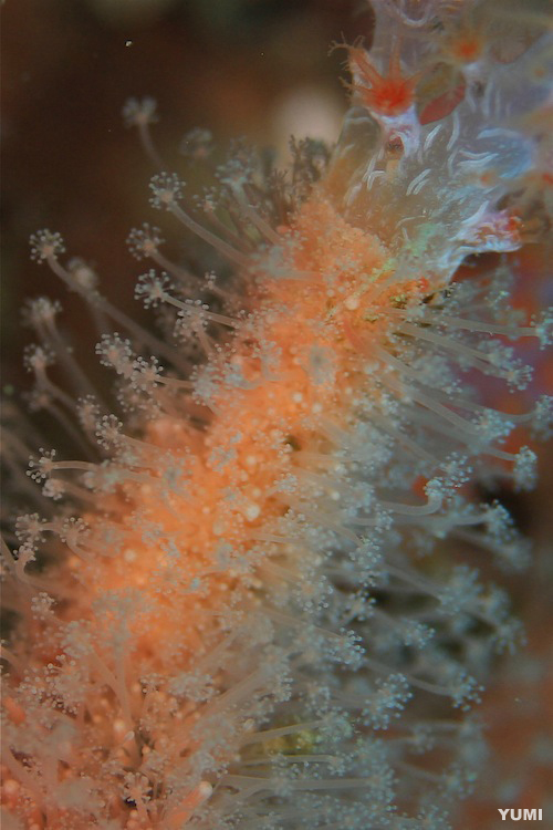 e0158261_7172487.jpg