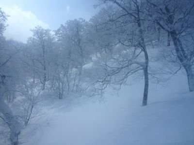 苗場パウダー & ごはん_c0151965_0115571.jpg